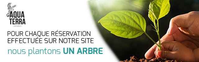 Pour chaque réservation effectuée sur notre site nous plantons un arbre. Pour chaque réservation effectuée sur notre site nous plantons un arbre.
